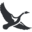 Eddiebauer logo