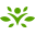 Swansonvitamins logo